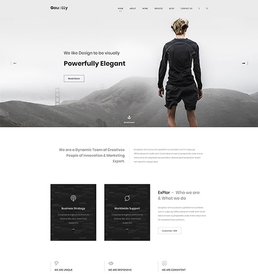 Portfolio-title