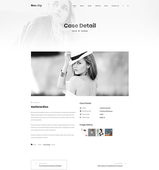 Portfolio-title