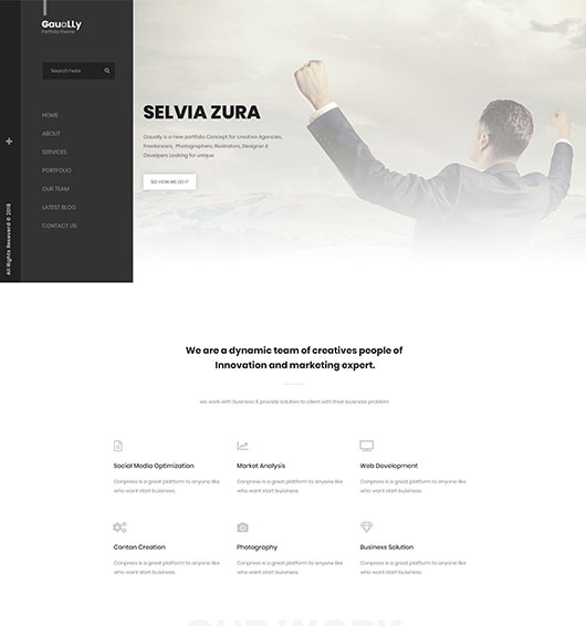 Portfolio-title