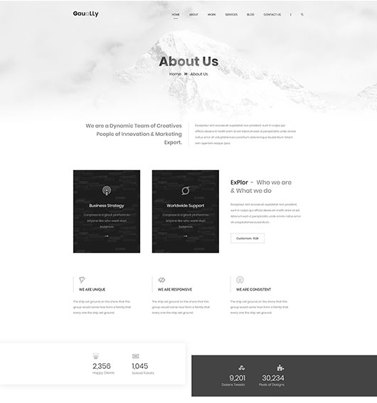 Portfolio-title
