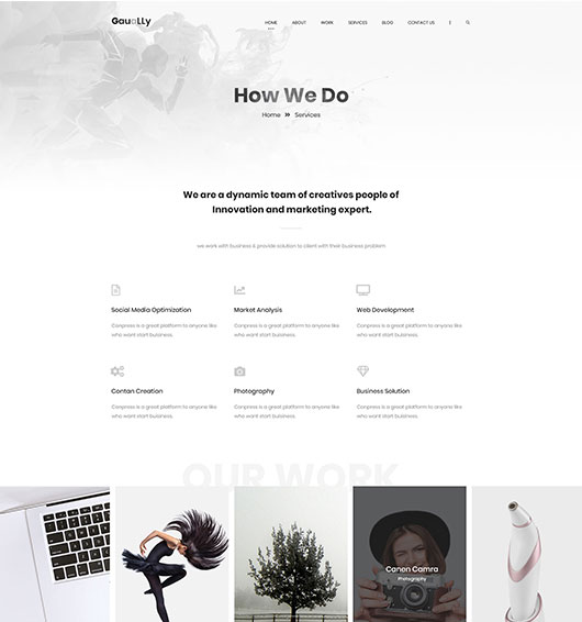 Portfolio-title