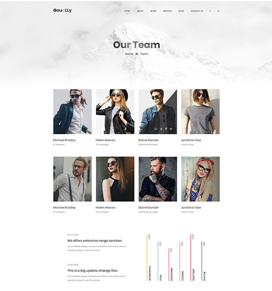Portfolio-title