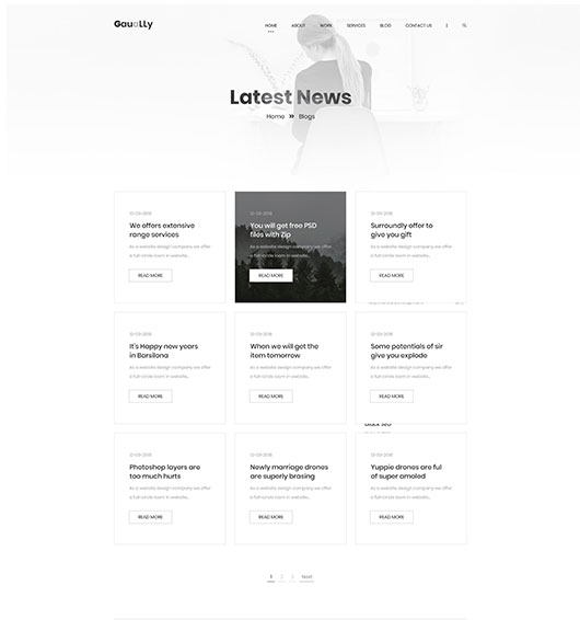 Portfolio-title