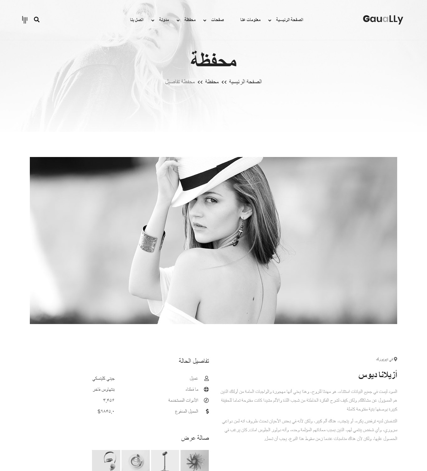 Portfolio-title