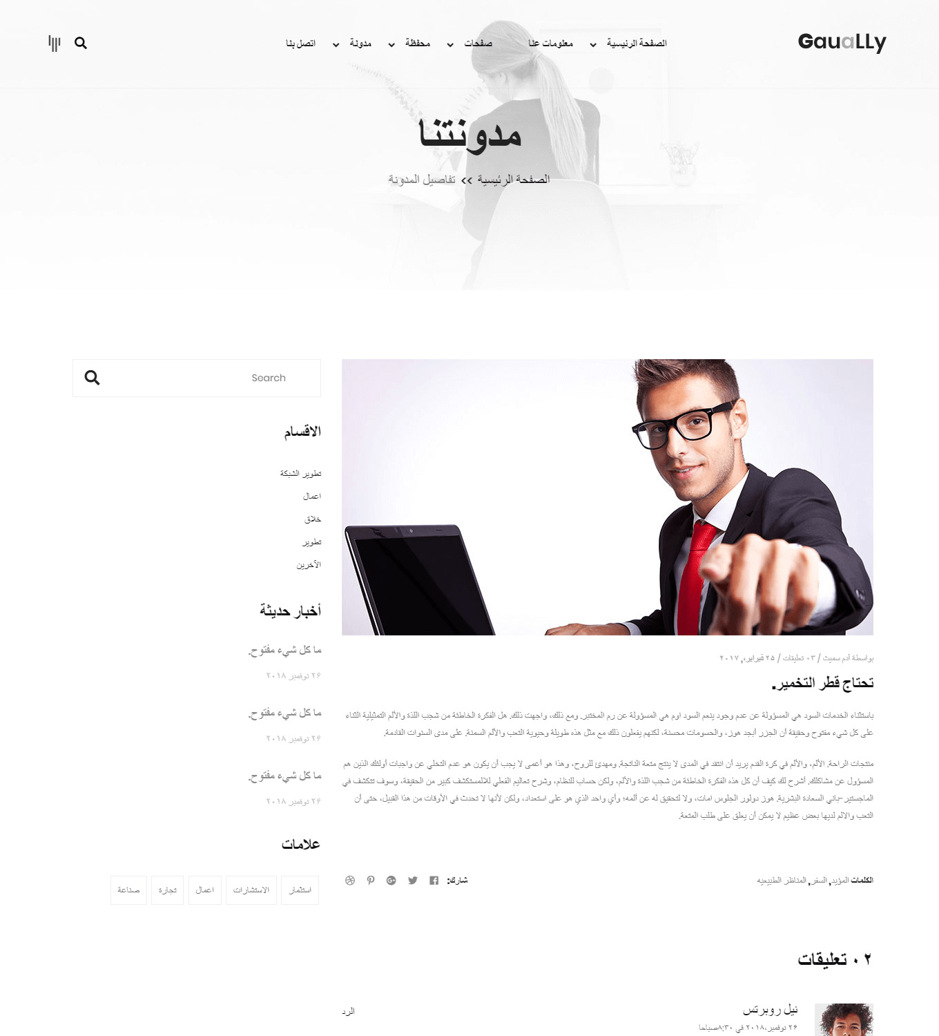 Portfolio-title